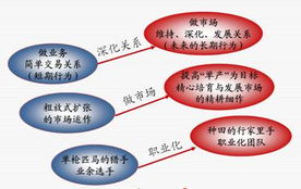 專業(yè)信息咨詢服務(wù) 您的決策智囊與業(yè)務(wù)加速器